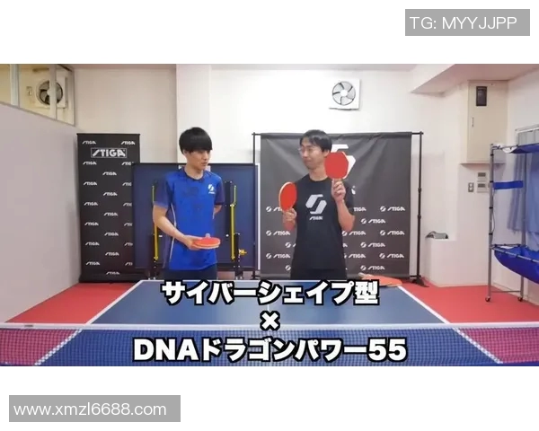 乒乓球技艺的深邃探讨：揭秘上海乒乓球队的防守策略与训练方法