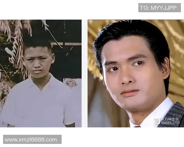 全球足球巨星的璀璨人生与赛场传奇背后的故事揭秘 全球足球巨星的璀璨人生与赛场传奇背后的故事揭秘