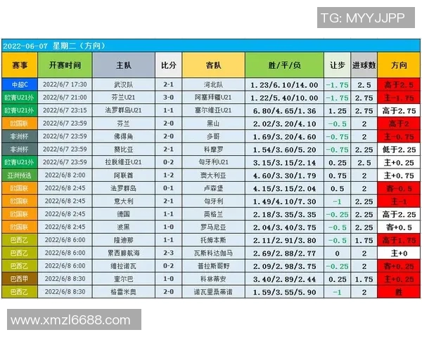 南京乒乓球队个人能力表现的全面数据分析与洞察探讨